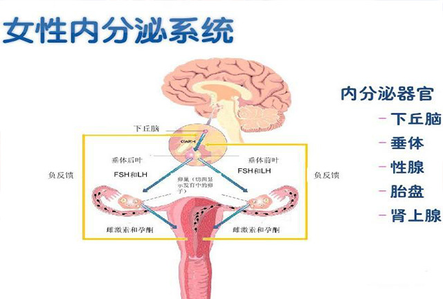 为什么有些女性怀不了孕,为什么好多女性不孕