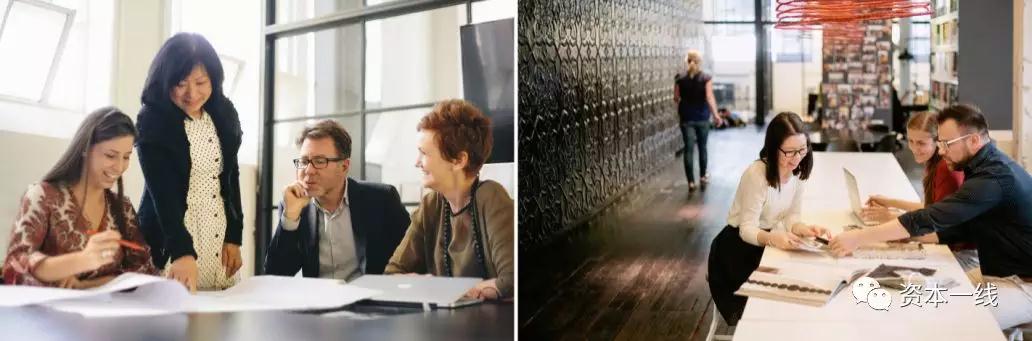 金螳螂王汉林,金螳螂王汉林视频