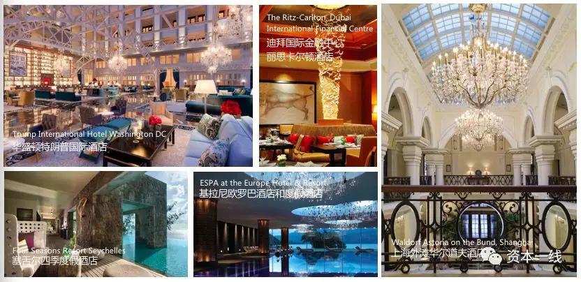 金螳螂王汉林,金螳螂王汉林视频