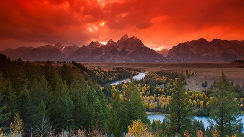 上京东购物京东商城,上京东购物好吗