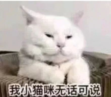 ysl小黑管怎么样,ysl小粉管测评