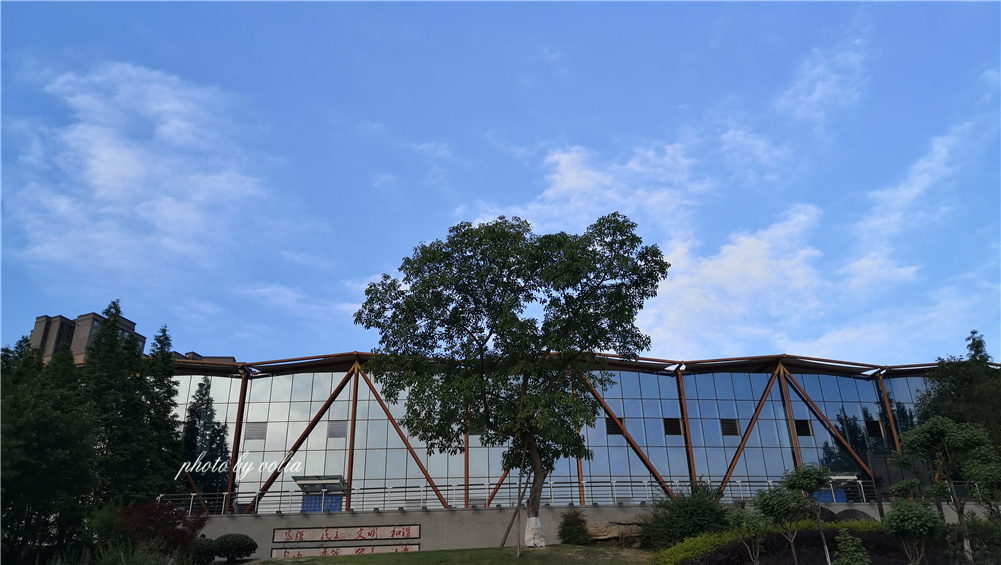 游大千故里住明宇尚雅｜世界杯也可以这样玩！