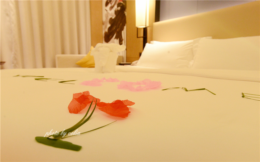 游大千故里住明宇尚雅｜世界杯也可以这样玩！