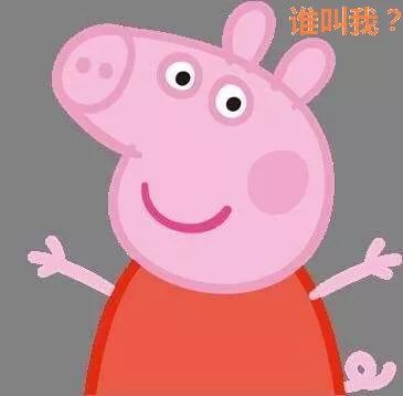 大学生毕业报到就这么办!网上轻松搞定!附江门地区详细指南