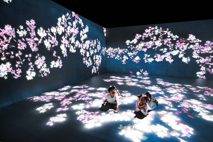 厦门自由行亲子游最强攻略,厦门亲子游详细攻略路线推荐