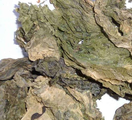 中药昆布怎么吃,昆布是中药吗