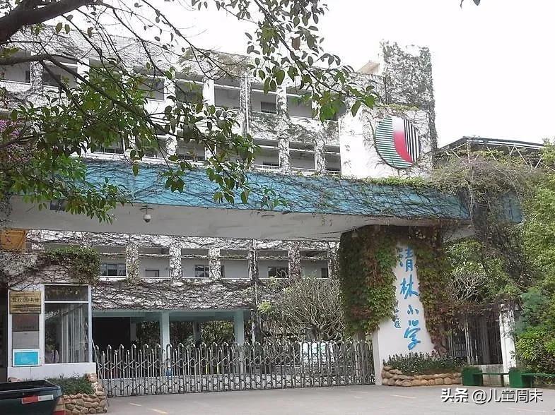 深圳龙岗布吉哪个小学比较好,深圳龙岗保安小学怎么样