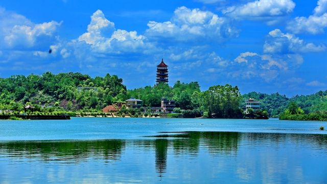 盘点梅西在足球场上,足坛里的梅西视频