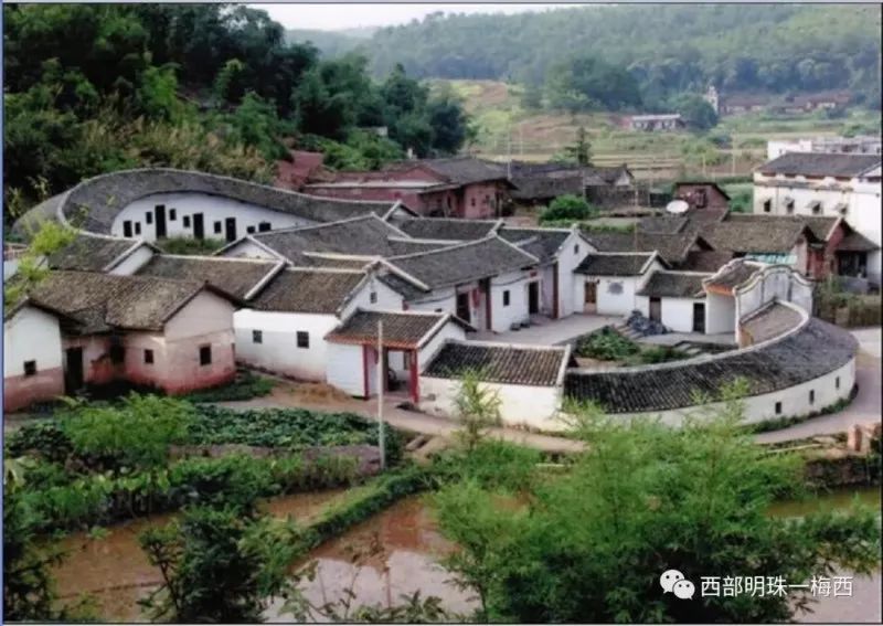 盘点梅西在足球场上,足坛里的梅西视频