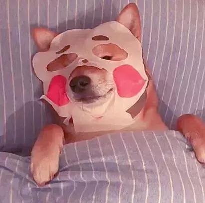 药妆推荐日本生活用品,日本药妆必买2023