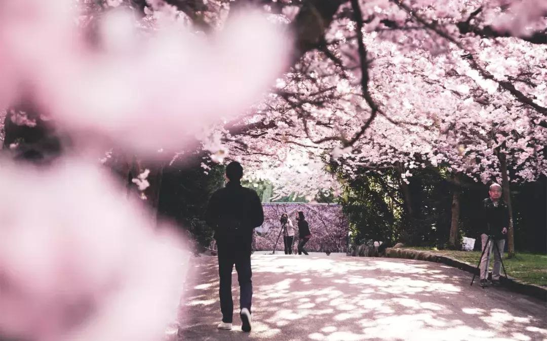 失恋的人听哪首歌就哭了,当年多少人是哭着听完这首歌的