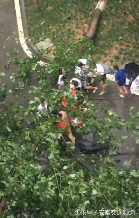 合肥百日行动查处,合肥百日严打