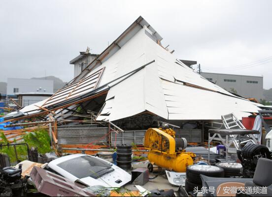 合肥百日行动查处,合肥百日严打