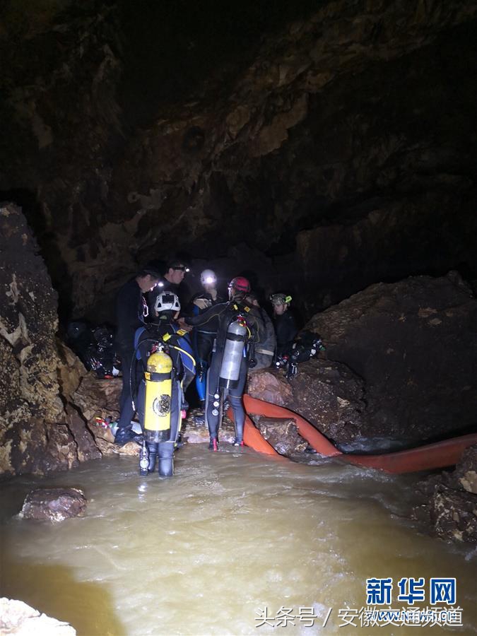合肥百日行动查处,合肥百日严打