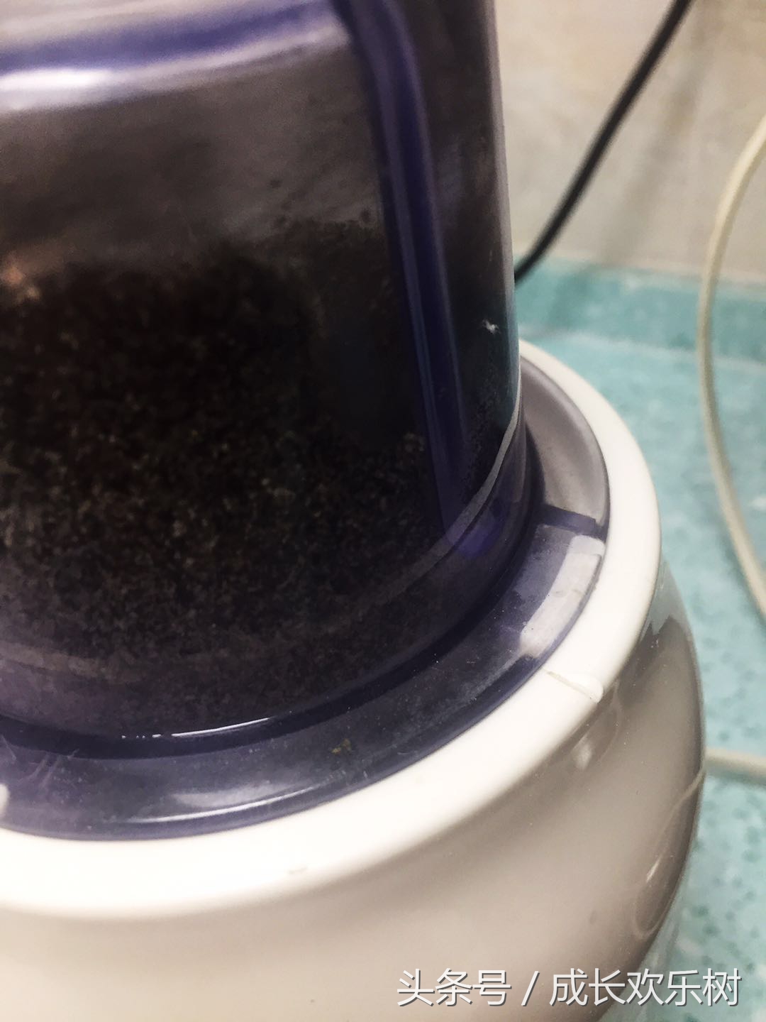 爸爸看世界杯宝宝趴床边,老爸看足球世界杯