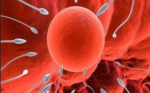 受精卵着床的瞬间,女性会有这些感觉,赶紧做好当妈的准备吧!