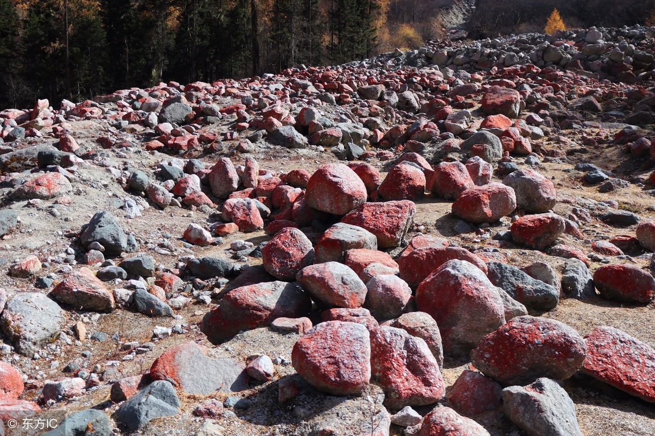 青岛人管上厕所叫什么,洪洞县厕所为什么叫解手场