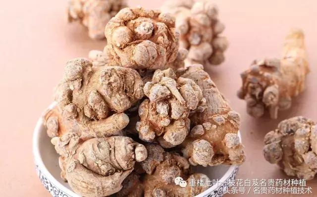 中药材价格上涨数百倍是多少,一年生中药材价格高的有哪些