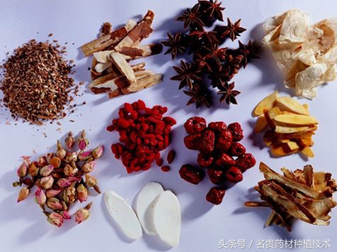 中药材价格上涨数百倍是多少,一年生中药材价格高的有哪些