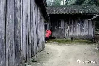 谁说中国足球不行？这群中国女孩，自己种菜捡垃圾，拿下世界冠军