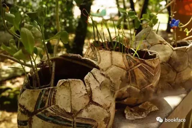 谁说中国足球不行？这群中国女孩，自己种菜捡垃圾，拿下世界冠军