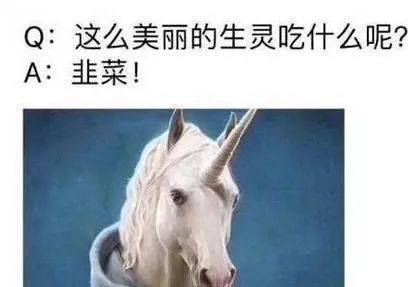 涓嶇鎵夸笉鎵胯閮介獥涓嶄簡鑷繁,涓嶇鎵夸笉鎵胯閮借鎺ュ彈鐜板疄