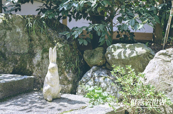 日本镰仓对比,日本镰仓vs日照镰仓