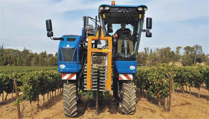 国外让人惊叹的农机收割葡萄,德国收割机收葡萄视频