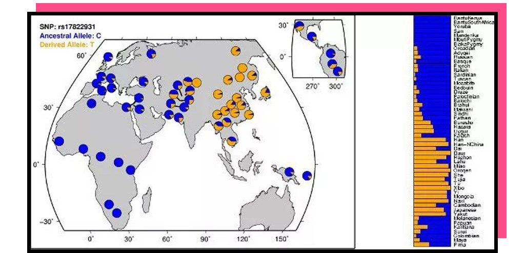 被体味毁掉的中国姑娘!