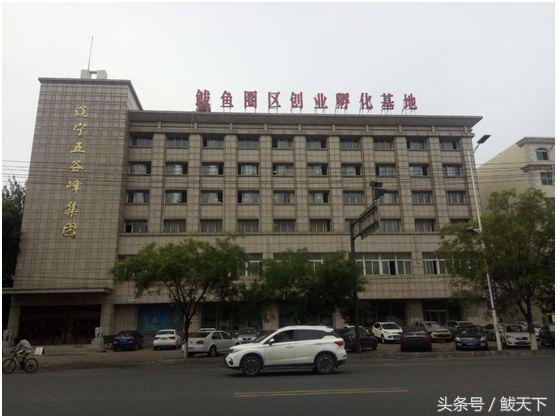 鲅鱼圈2019年创业孵化基地,鲅鱼圈孵化基地