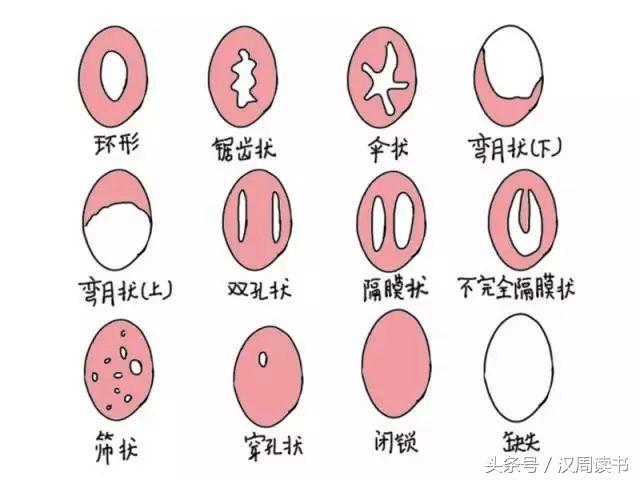 鲨鱼不会吃人是真的吗,鲨鱼真的不会吃人吗