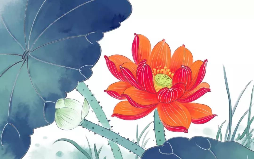 采莲曲最好的诗人,采莲曲十首经典诗