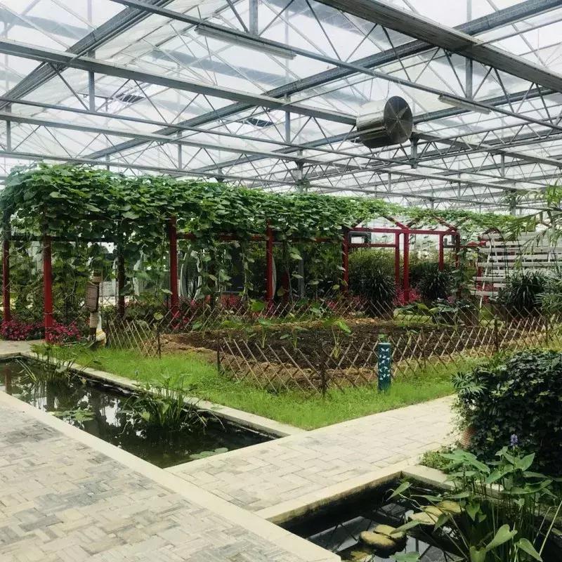 蔬果草莓采摘园,常州采摘适合夏天玩的地方