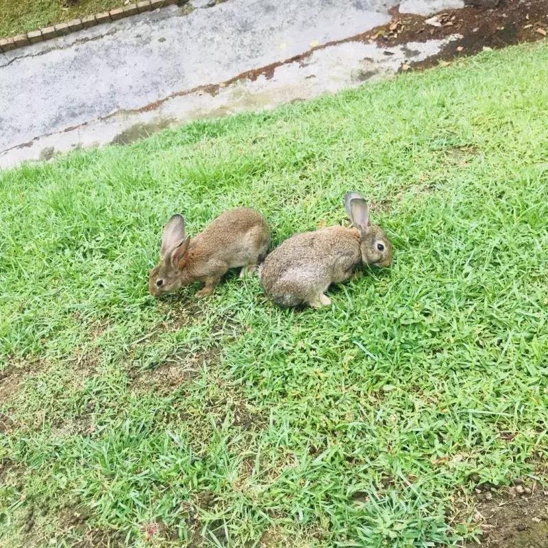 蔬果草莓采摘园,常州采摘适合夏天玩的地方