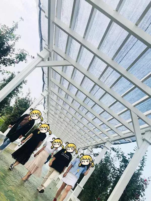 蔬果草莓采摘园,常州采摘适合夏天玩的地方