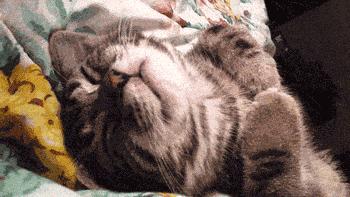 经常做梦的十大梦境,会做梦的人