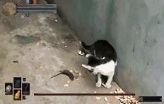 触目惊心的世界杯,世界杯来了你怎么看