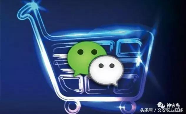 农产品网络营销的常见方法有哪些,农产品网络营销的运营模式