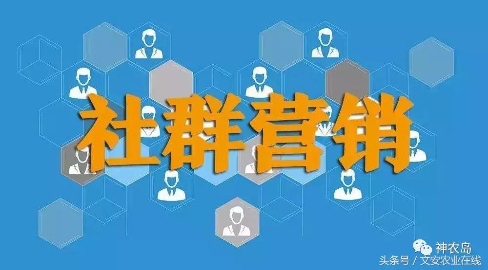 农产品网络营销的常见方法有哪些,农产品网络营销的运营模式