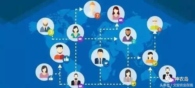 农产品网络营销的常见方法有哪些,农产品网络营销的运营模式