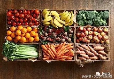 农产品网络营销的常见方法有哪些,农产品网络营销的运营模式