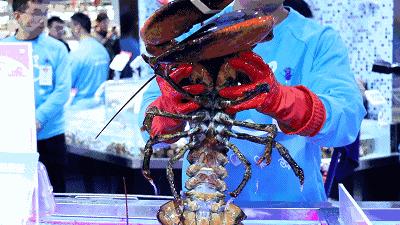 盒马鲜生在成都双流什么时候开业,盒马鲜生双流