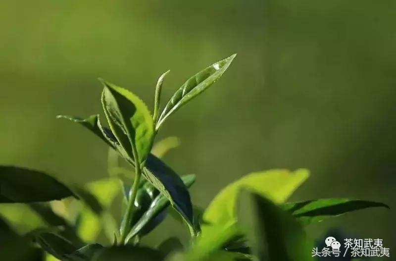 瑙佽瘉姊呯綏,鏈夊垢瑙佽瘉浜嗘缃楁椂浠ｇ殑钀藉箷