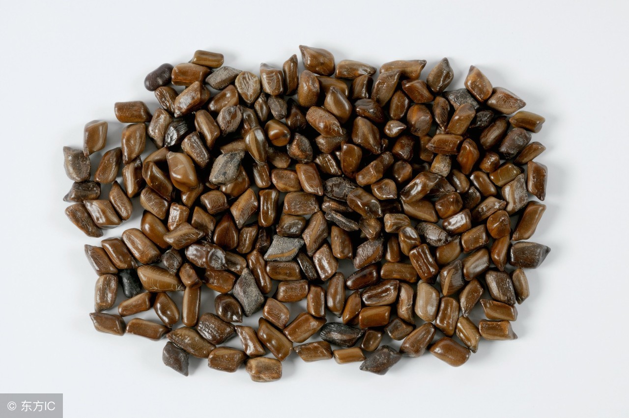 清肝明目的草药决明子,一味中药清肝明目润肠通便