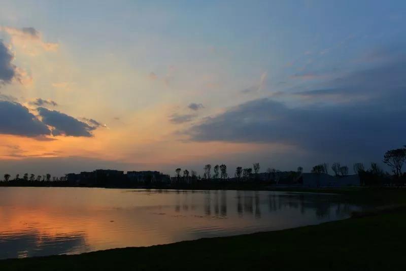 成都高新大源最新房源,成都物业费最低的楼盘