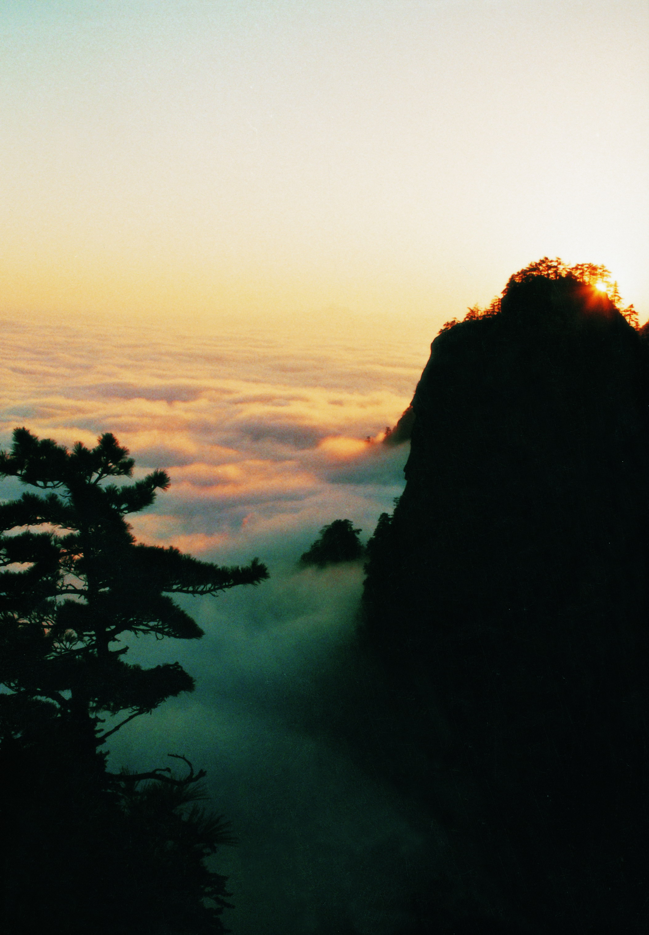 白云山森林氧吧图片,栾川白云山森林氧吧