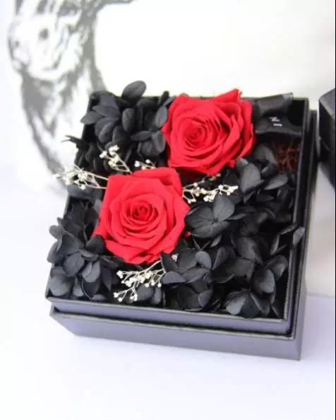 永生花是什么花,永生花被淋了