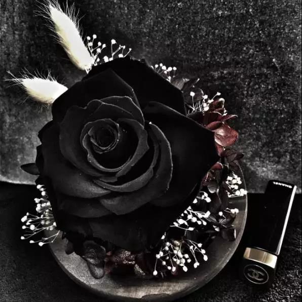 永生花是什么花,永生花被淋了