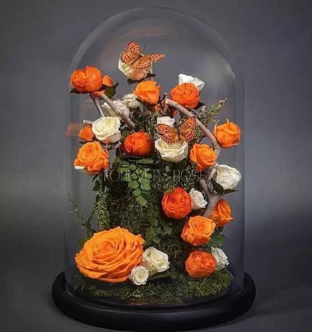 永生花是什么花,永生花被淋了