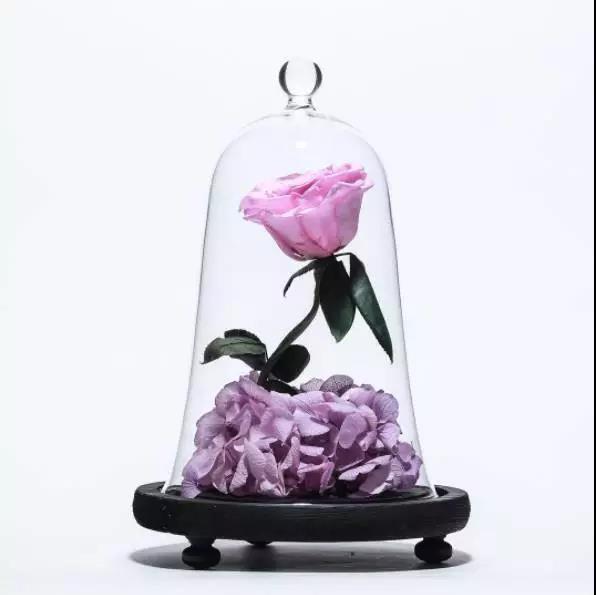 永生花是什么花,永生花被淋了